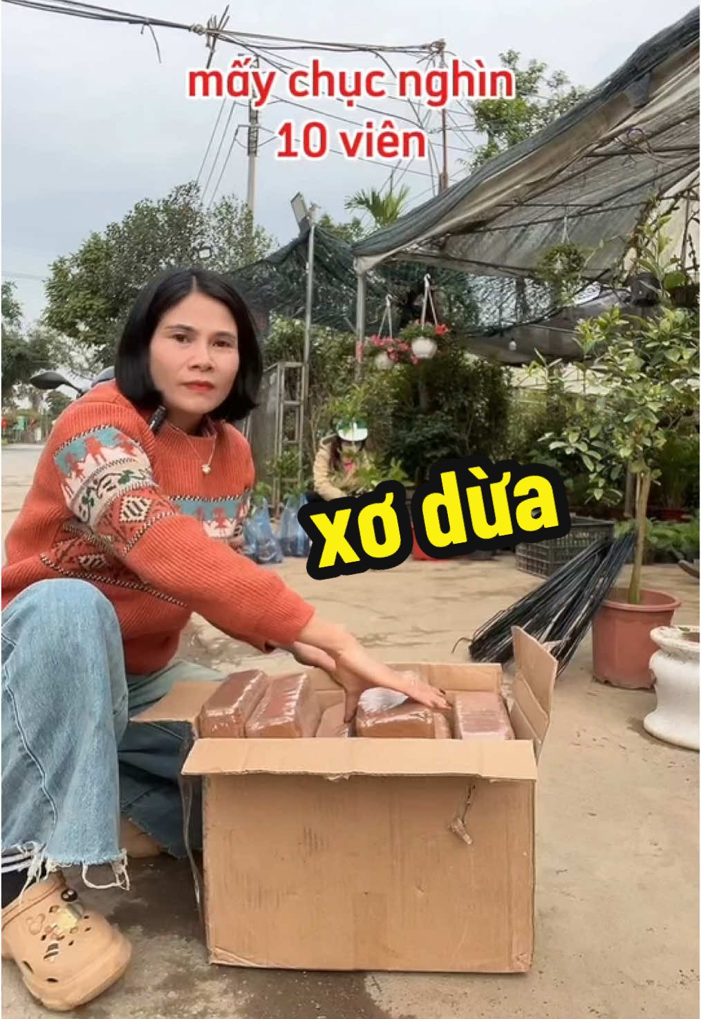 combo 10 viên xơ dừa trồng cây#viennenxodua #caycanh #trongrau #vườncuaban1982 