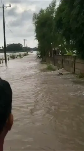 Hujan besar yang mengguyur Lampung Selatan (8/1) mengakibatkan banjir parah di beberapa titik, salah satu nya di desa Lebung Larangan menuju Desa Pematang Baru Kecamatan Palas. Bahkan jalan antara 2 desa tersebut belum bisa di lewati.  Tetap waspada, sekelik!  repost from: FB/Adityakurniawan.  #banjirlampung #lampunggeh #bmkglampung #lampungselatan 