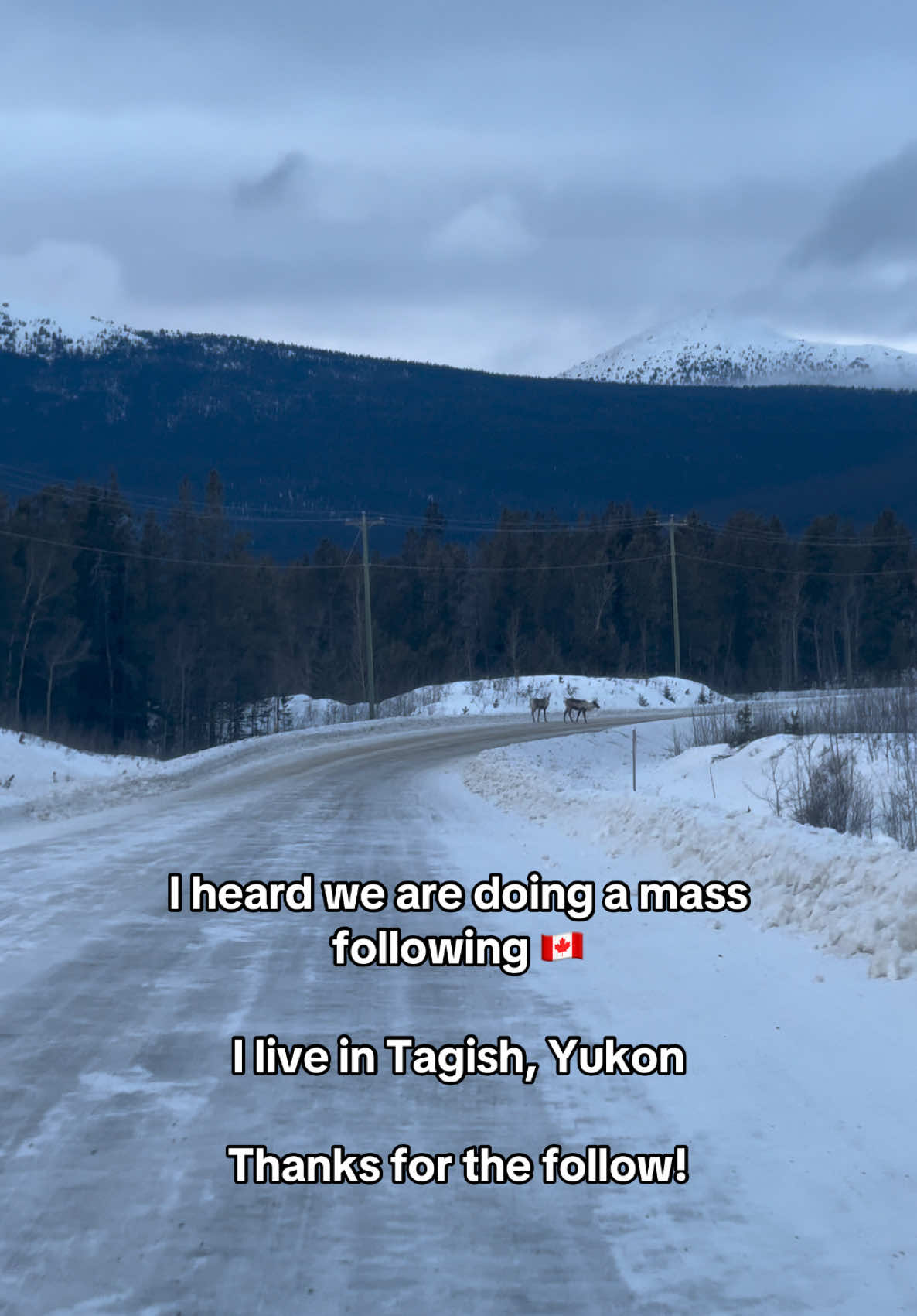 I love sharing my love for the Yukon! I also own a little crystal company @Tagish Rocks  #canada_life🇨🇦 #canadiancheck #canadiantiktok #yukon #crystals #foryoupage 