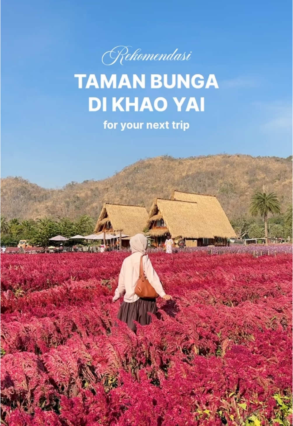 Spill disini HTM tiap lokasinya 🇹🇭 1. Hokkaido Flower Park- 160 Bath 2. Blossom Bloom- 50 bath 3. Sunflower Field- GRATIS #fyp #foryou #thailand #lifeinthailand #khaoyai #khaoyaithailand 