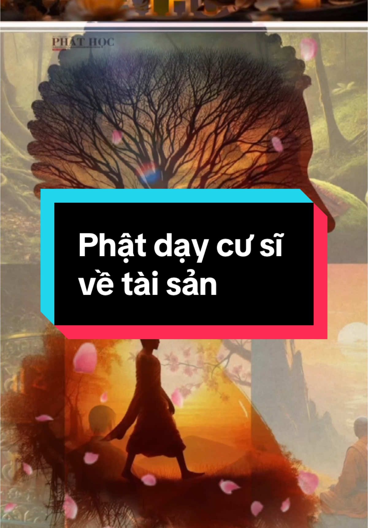 Phật dạy cư sĩ về tài sản #phat #phatphapnhiemmau #phatphapvobien #phatphap #fyp #trending #trend #buddha #buddhism #phatgiao #loiphatday #nhanqua #nhanquabaoung #daophat #lichsu #phatphapvadoisong #quantheam 