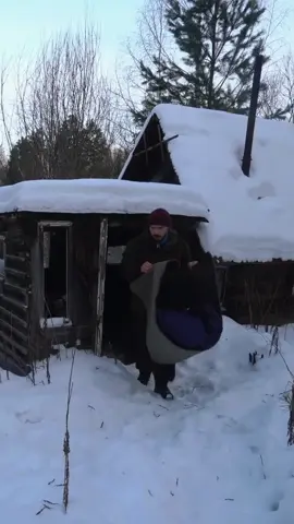 Renovate my old hut in the forest part 2 #build #bushcraft #fyp #outdoor #wildernesscrafters #shelter