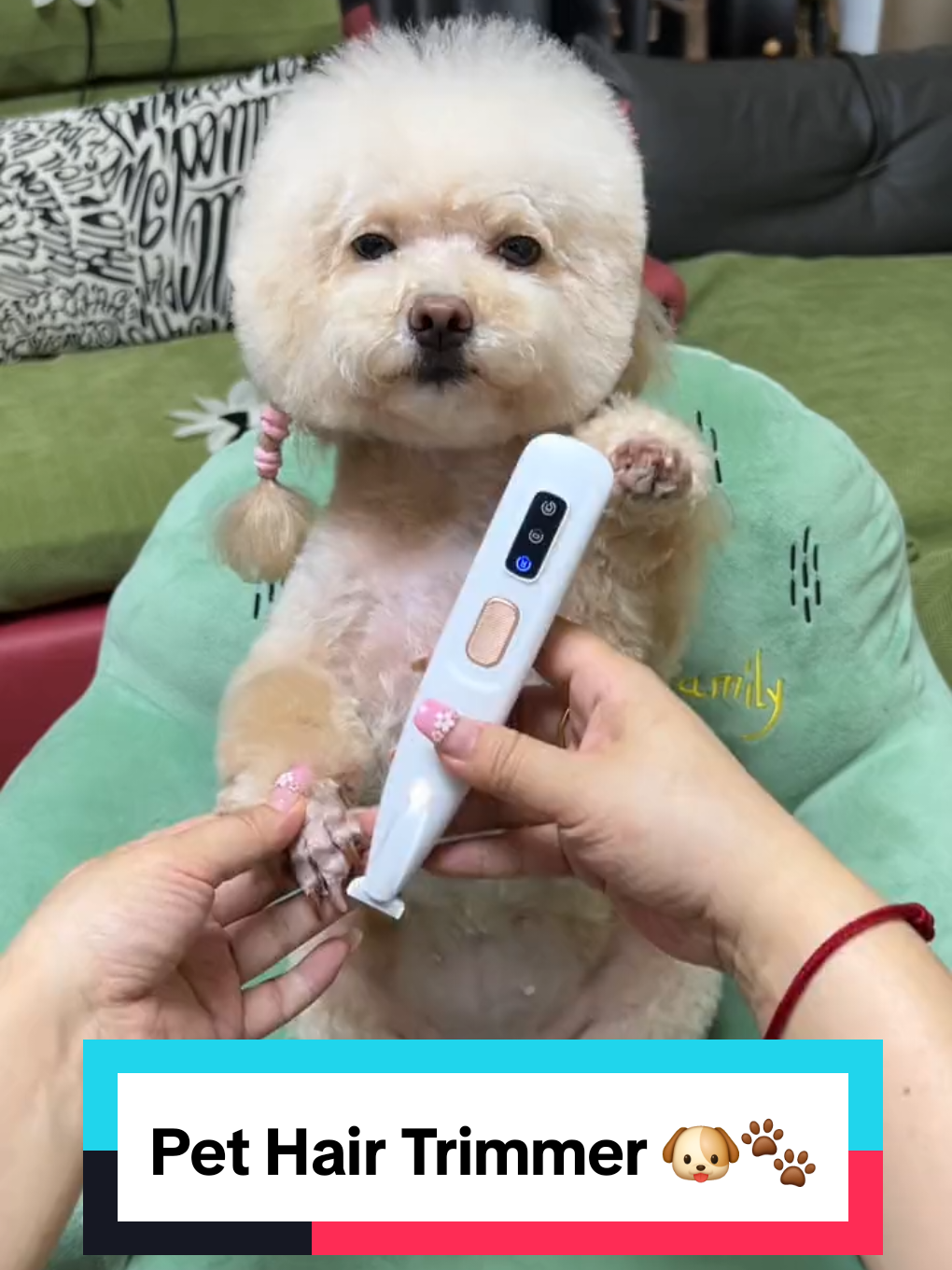 Pet Hair Trimmer 🐶 🐾  #pethairremoval #doghair #dogproducts #dogs 