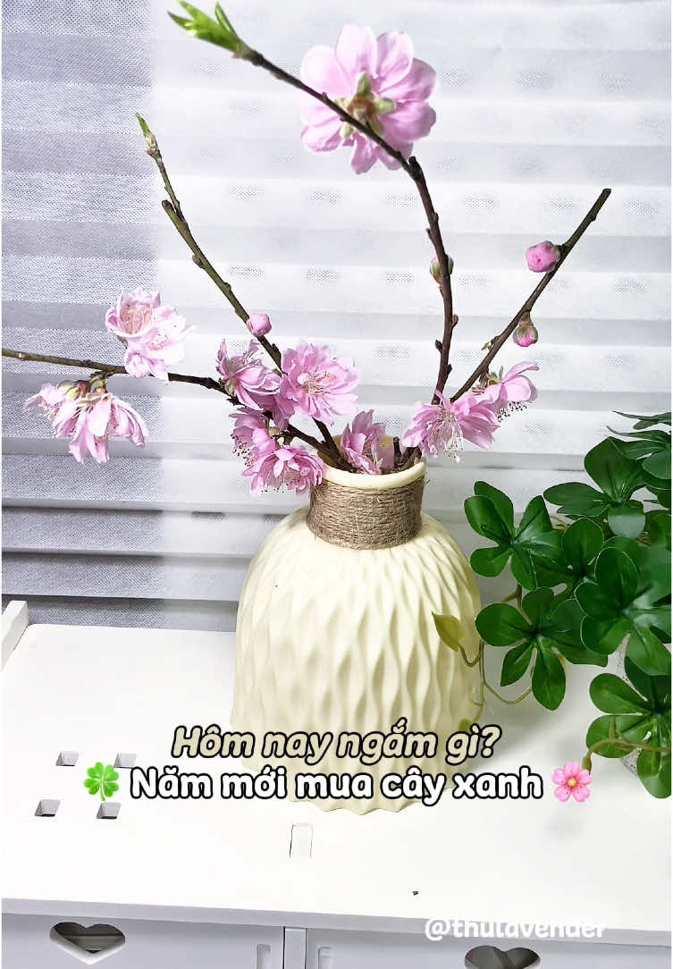 Năm mới ngắm gì, câyyyy #decor #viral #cayxanh 