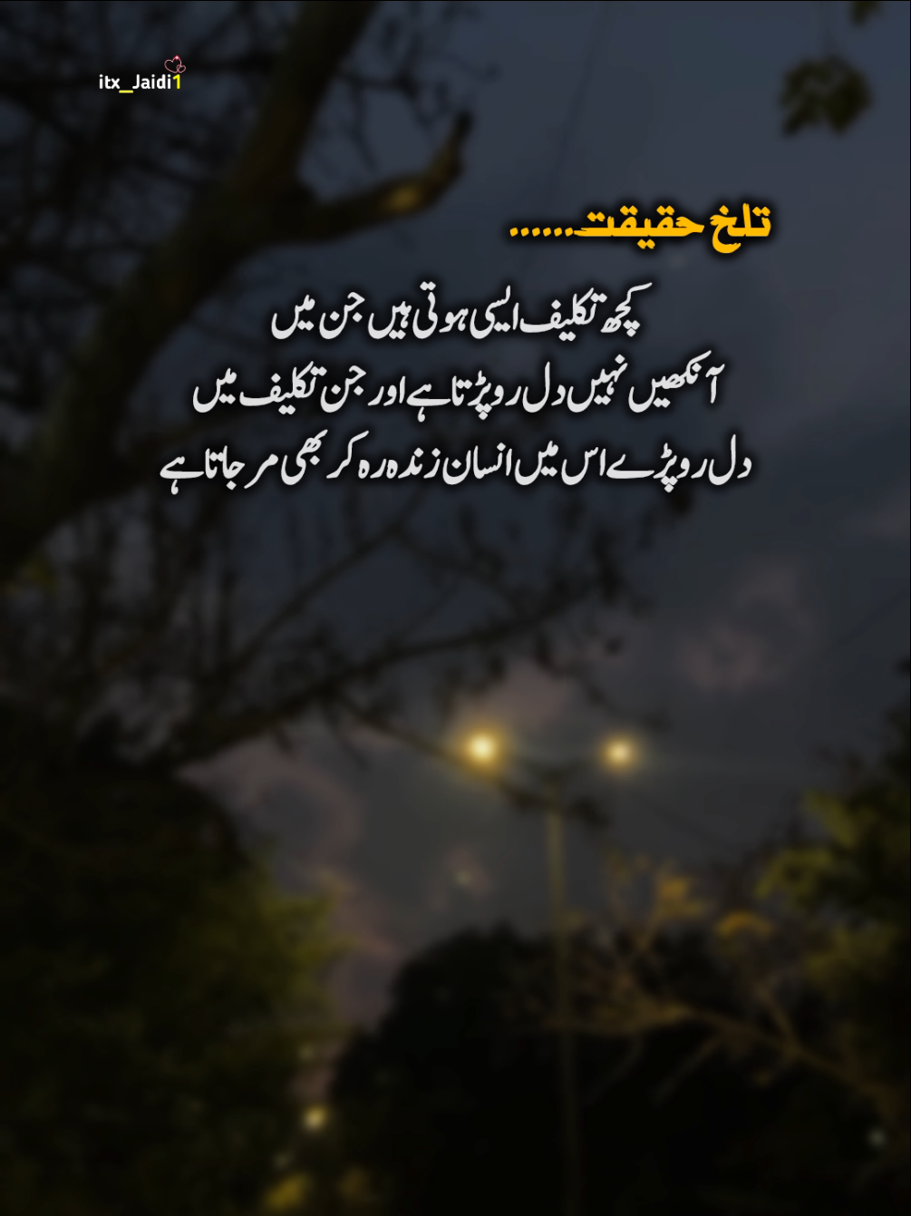 ℍ𝕒𝕪𝕖𝕖𝕖 𝕋𝕙𝕖𝕤𝕖 𝕃𝕚𝕟𝕖'𝕤 𝕐𝕨𝕣 . . . #Foryou #foryoupage #trending #urdupoetry #growmyaccount #unfreezemyaccount #fyp #viralvideo #newaccount #statusvideo