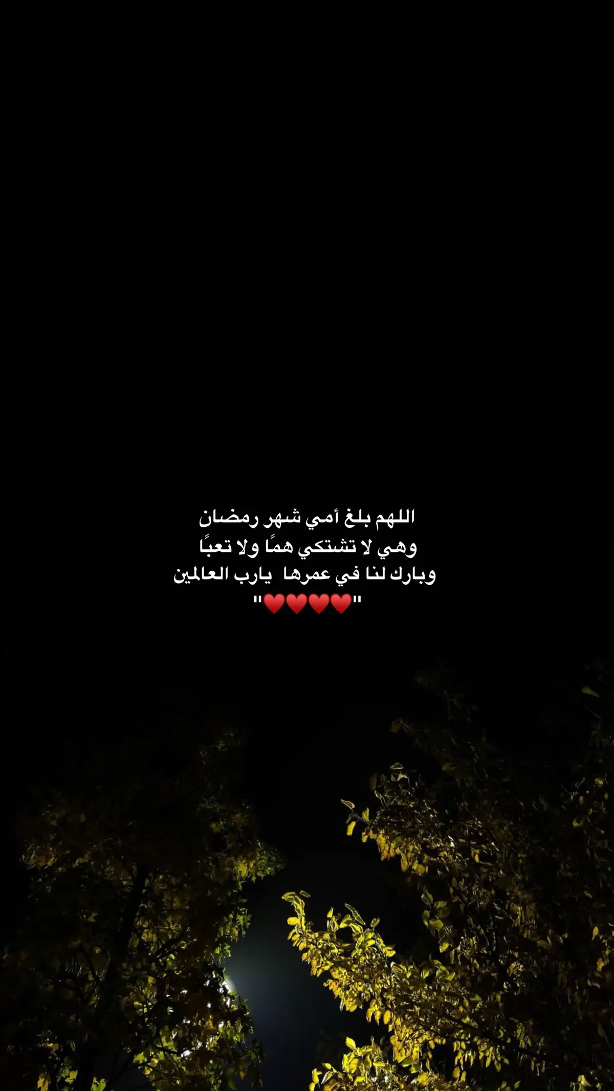 #اللهم_امين ♥️