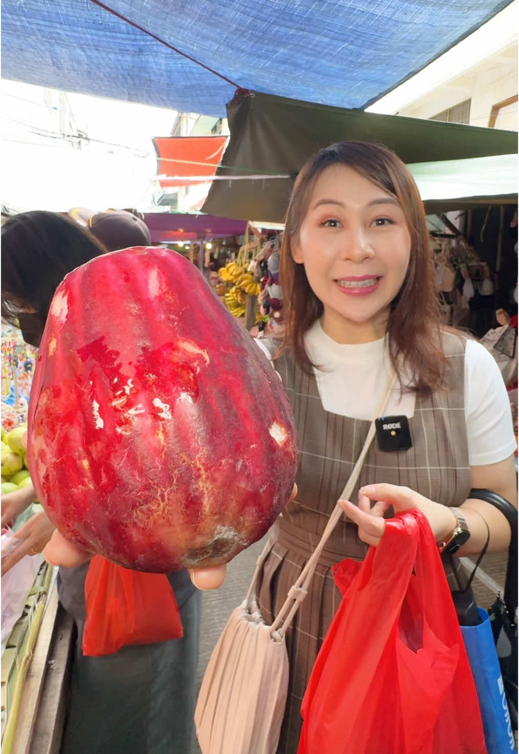 Jambu bol raksasa , dikasih makan apa ya , jadi gede gini 😄 #sibungbung #mukbang #kulinerviral #reviewmakanan 