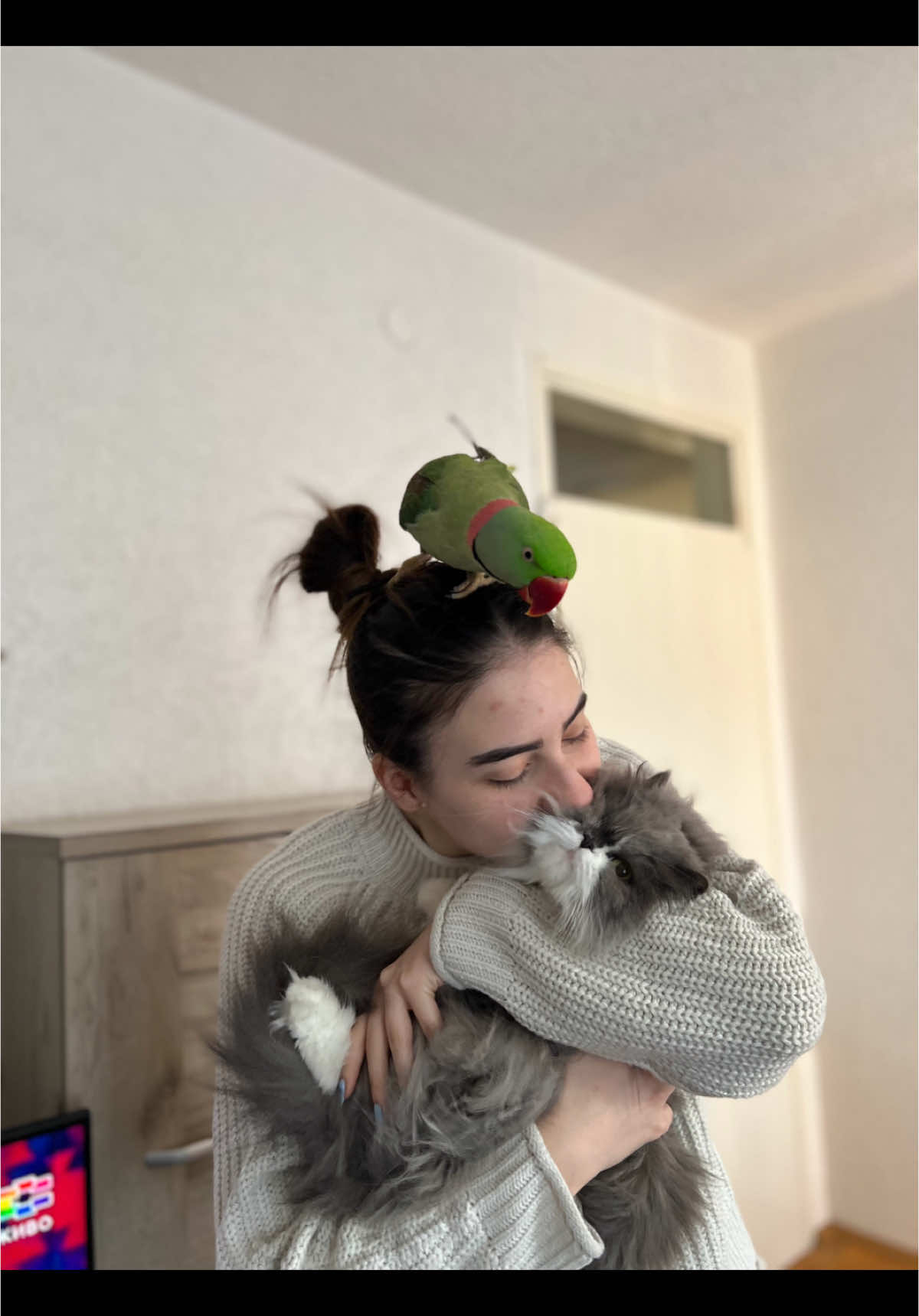 Daily talks featuring Chichi the parrot 🦜 #parrot #parentsoftiktok #talkingparrot #alexander 