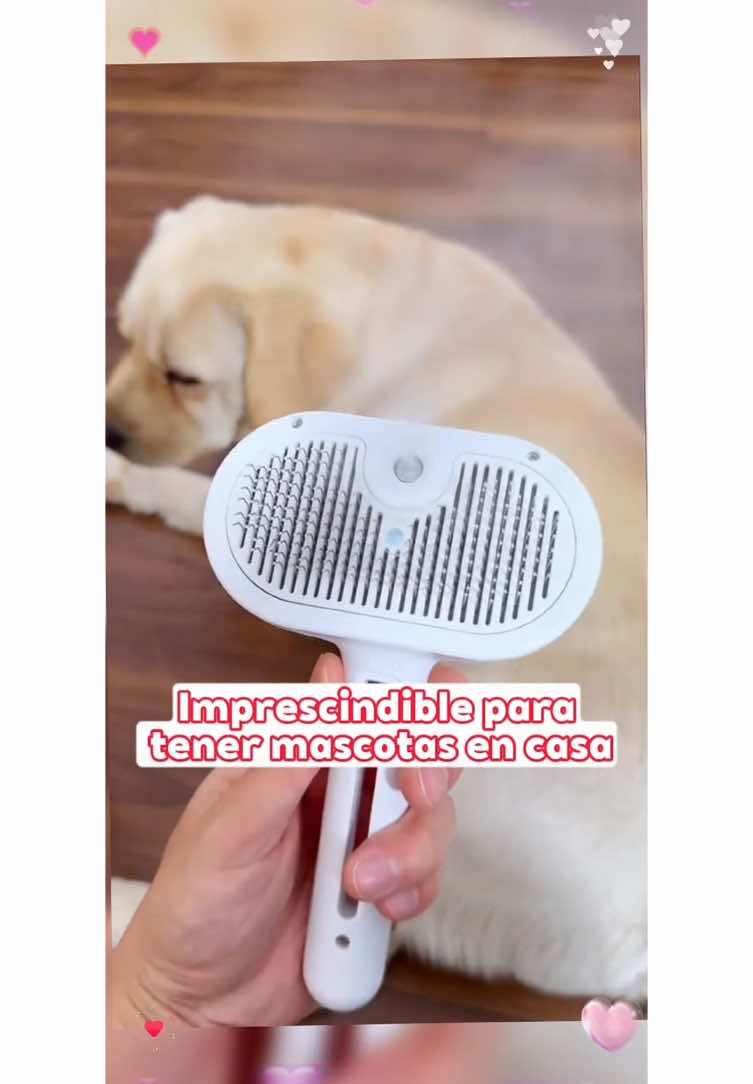 ¡Después de usar este peine de vapor, mi casa está realmente limpia! #pet #dog #spraycomb#fyp #petcleaning #tiktokshopfinds 