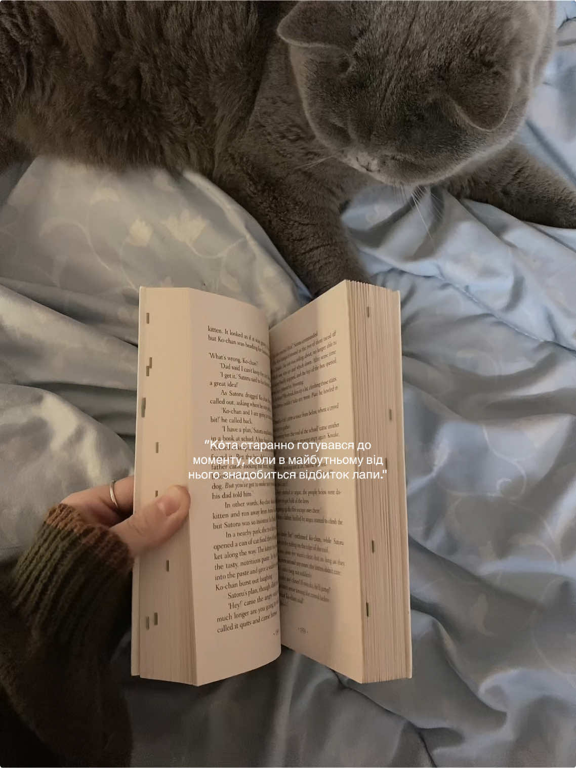 #fyp #рек #BookTok #укрбукток #recomendation ##thegoodbyecat #hiroarikawa #cat 