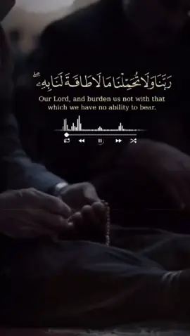 May Allah grant us peace in this life and the afterlife #☪️ #allahuakbar #fyp #quran #islam 