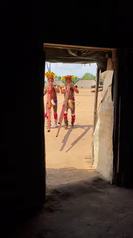 A imagem captura um momento tradicional na aldeia Kamayurá, no Território Indígena do Xingu, Brasil. Nela, dois homens indígenas, com corpos pintados e vestindo trajes cerimoniais coloridos, tocam longas flautas de bambu enquanto caminham. Suas cabeças estão adornadas com cocares de penas amarelas e vermelhas, e eles demonstram concentração na execução do ritual. Atrás deles, duas mulheres indígenas acompanham a caminhada, trajando saias de fibras naturais e enfeites nos tornozelos e braços. Elas parecem seguir a música dos tocadores em um movimento sincronizado, sugerindo uma dança ou ritual tradicional. O cenário inclui uma grande oca de palha ao fundo, típica da arquitetura Kamayurá, e um céu azul com poucas nuvens, iluminando a cena com luz natural. A imagem transmite um forte senso de tradição, cultura e conexão com os costumes ancestrais do povo Kamayurá. 