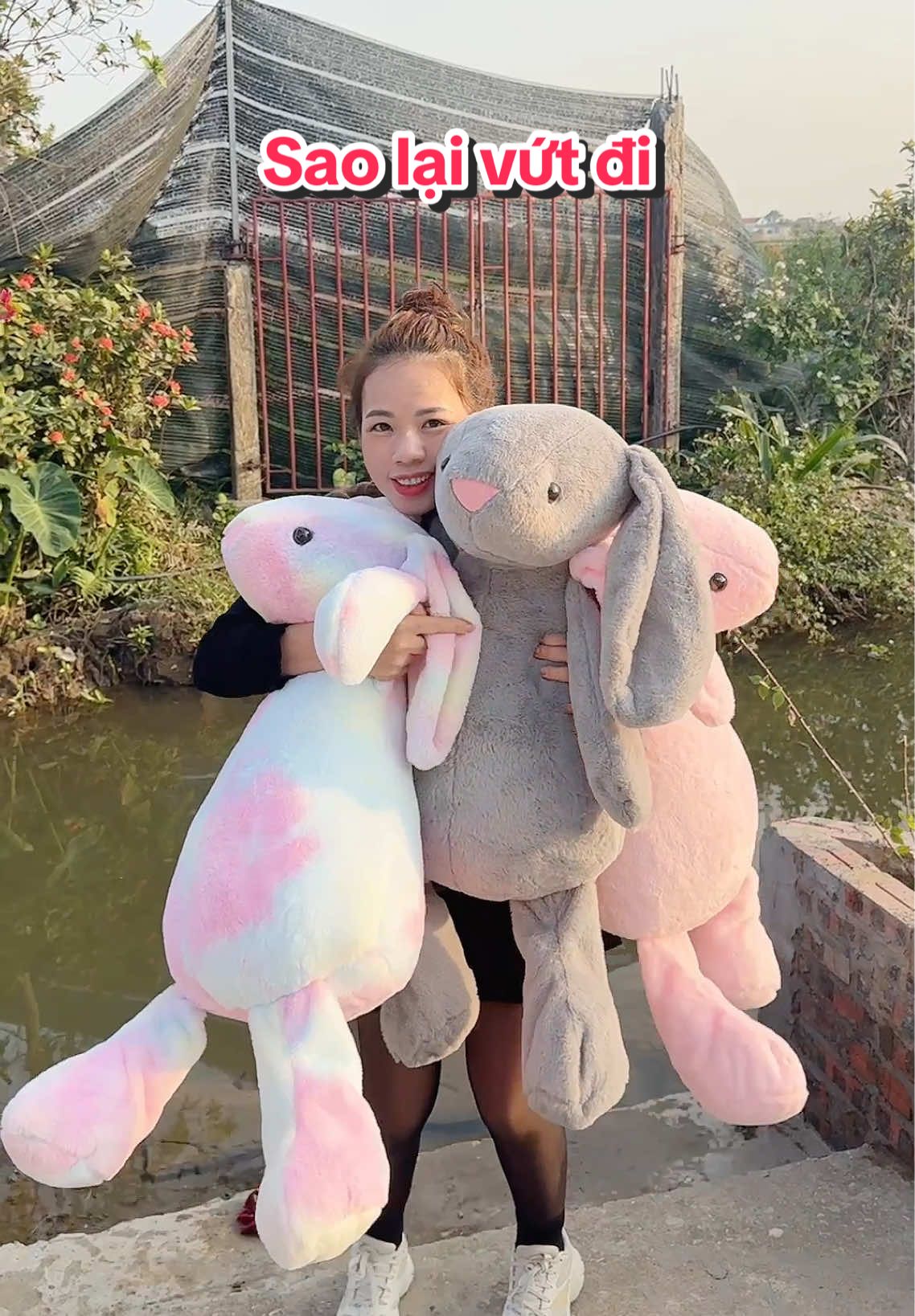 Này sao lại vứt đi#thojellycat #thotaidai #nhacuadoisong 
