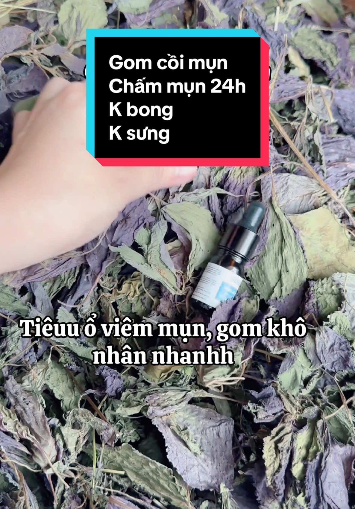 #duocthaoxanhbenuss #antoanlanhtinh #trimunbenus #gomcoimunsau7den10ngay 