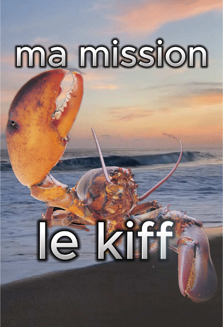 mission acceptée 