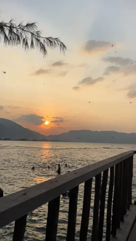 tumbuh dan jadilah lebih baik dari apa pun 🫂#ninafest #xybca #senja #pantai 