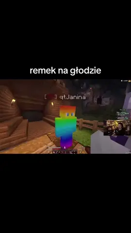 #remsua #fyp #yflsmp #dlaciebie #goviral #Minecraft #polska 