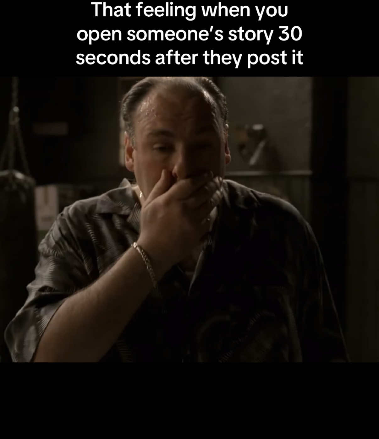 #meme #thesopranos #tonysoprano #tvshow #based 