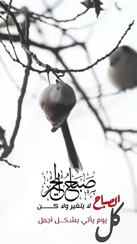 هذا اليوم #في هذا اليوم #صباحكم_سعادهـ🌸🍃 #صباحكم_أحلى_صباح #صباحكم_معطر_بذكر_الله_وسعادة_لا_تنتهى🤲 #اكسبلورexplore #مالي_خلق_احط_هاشتاقات🦦 