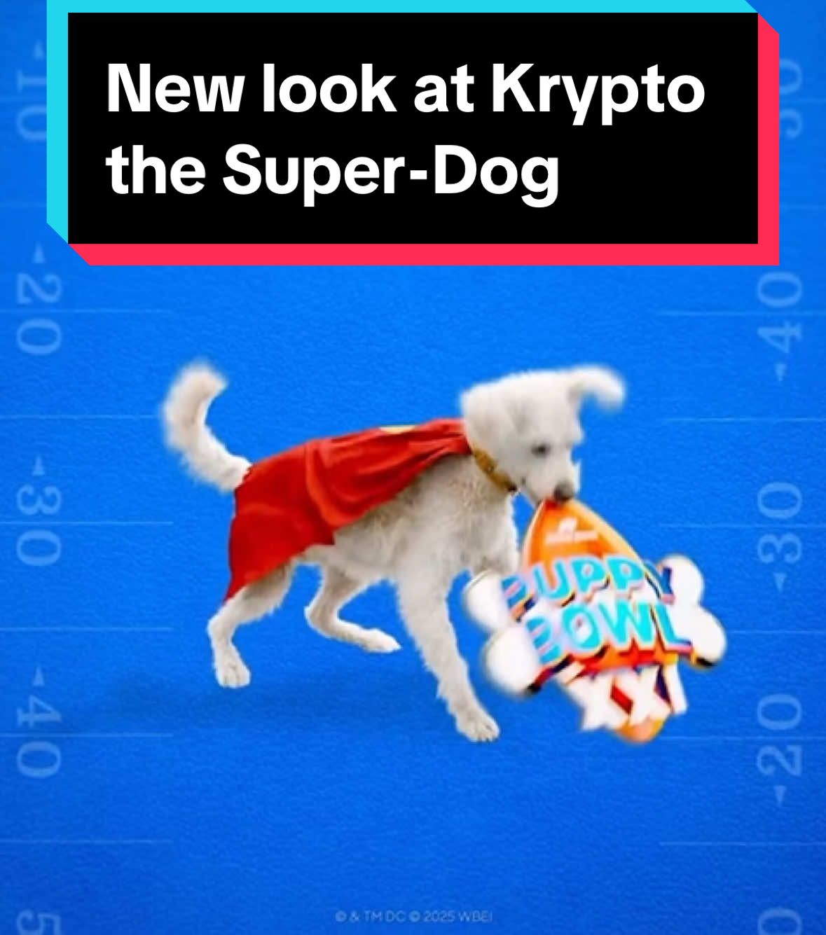 New look at Krypto the Super-Dog #krypto #superman #movie #newlook 