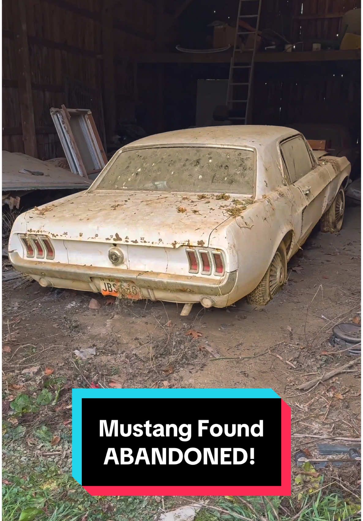 Mustang Found Abandoned! #wddetailing #detailing #carwash #carcleaning #satisfying #satisfyingvideos #barnfind #fyp #abandoned #cardetailing #pressurewashing #asmr #trending #trend #asmrvideo 