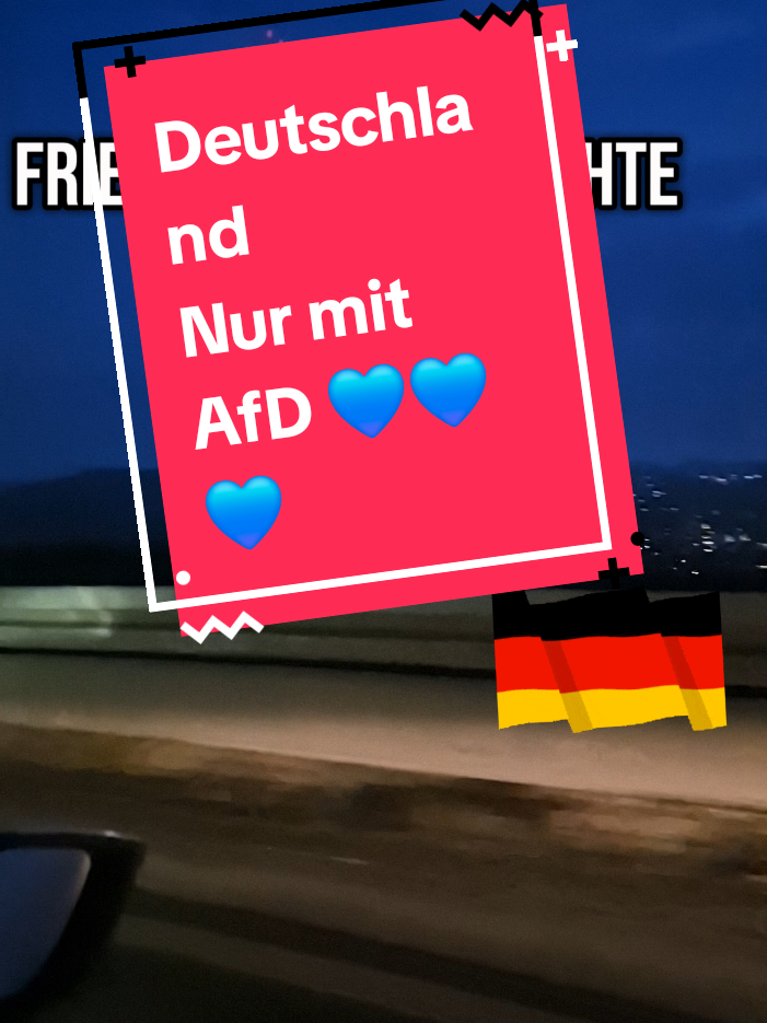 Deutschland nur mit AfD 💙💙💙!