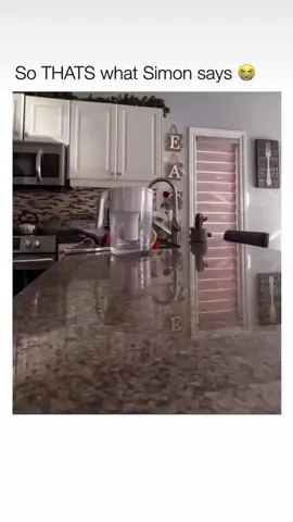Simon, you're my little spirit bird. 😂 #foryoupage #bird #fyp #funny #explore #relatable #fypシ゚viral #meme #fypシ  #viral #trending #viralvideo 