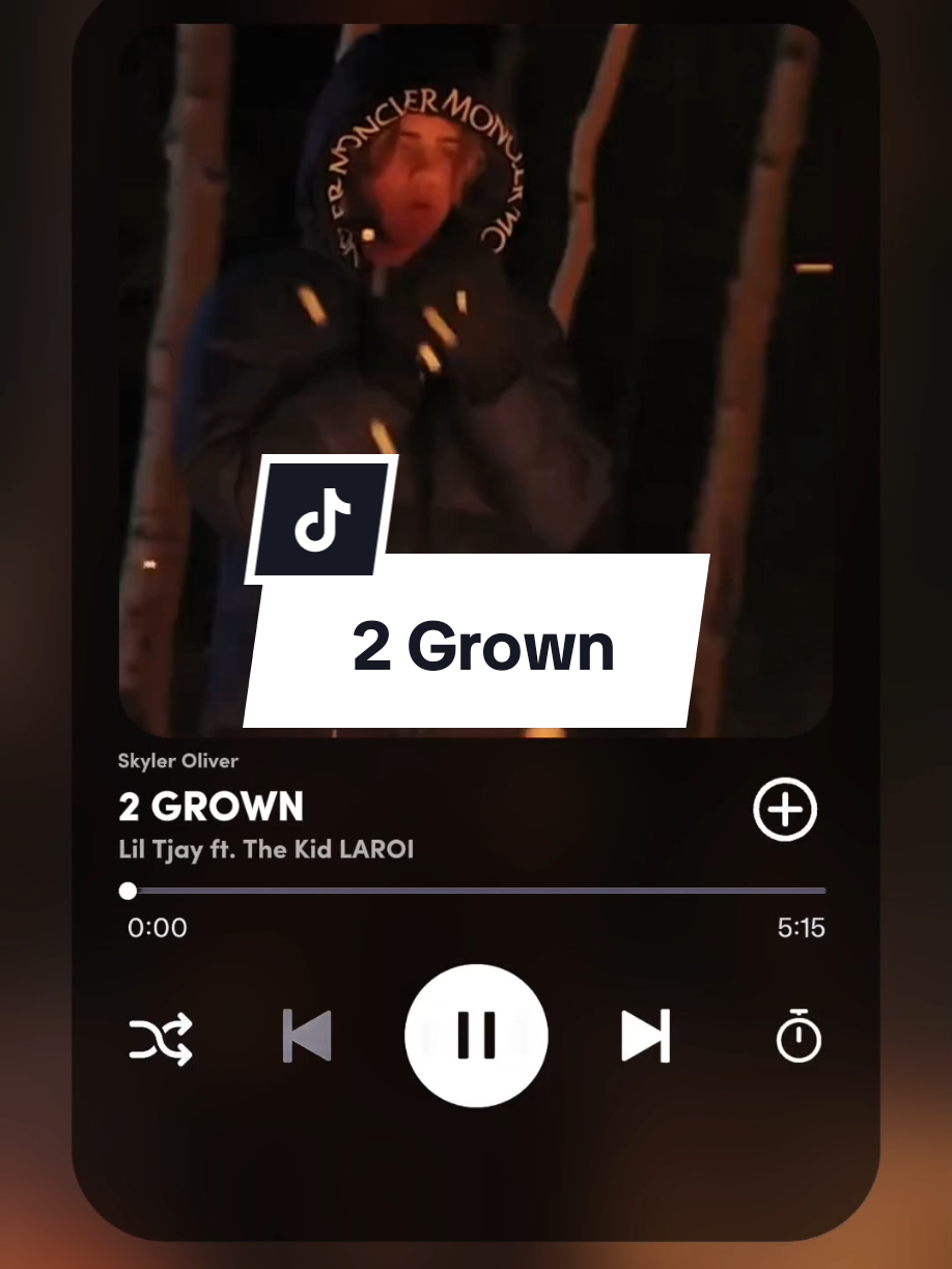 2 Grown - Lil Tjay ft. The Kid LAROI @liltjay @thekidlaroi #2grown #liltjay #thekidlaroi #fyp #fypage #fypviralシ #song #Flashback 