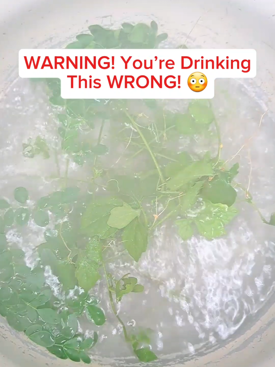 BOIL These 2 HERBS & WATCH What Happens! 🤯 (Shocking Results!) #Moringa #CeraseeTea #DetoxDrink #HerbalHealing #Superfood #NaturalRemedy #BloodSugarControl #LiverCleanse #ViralTea