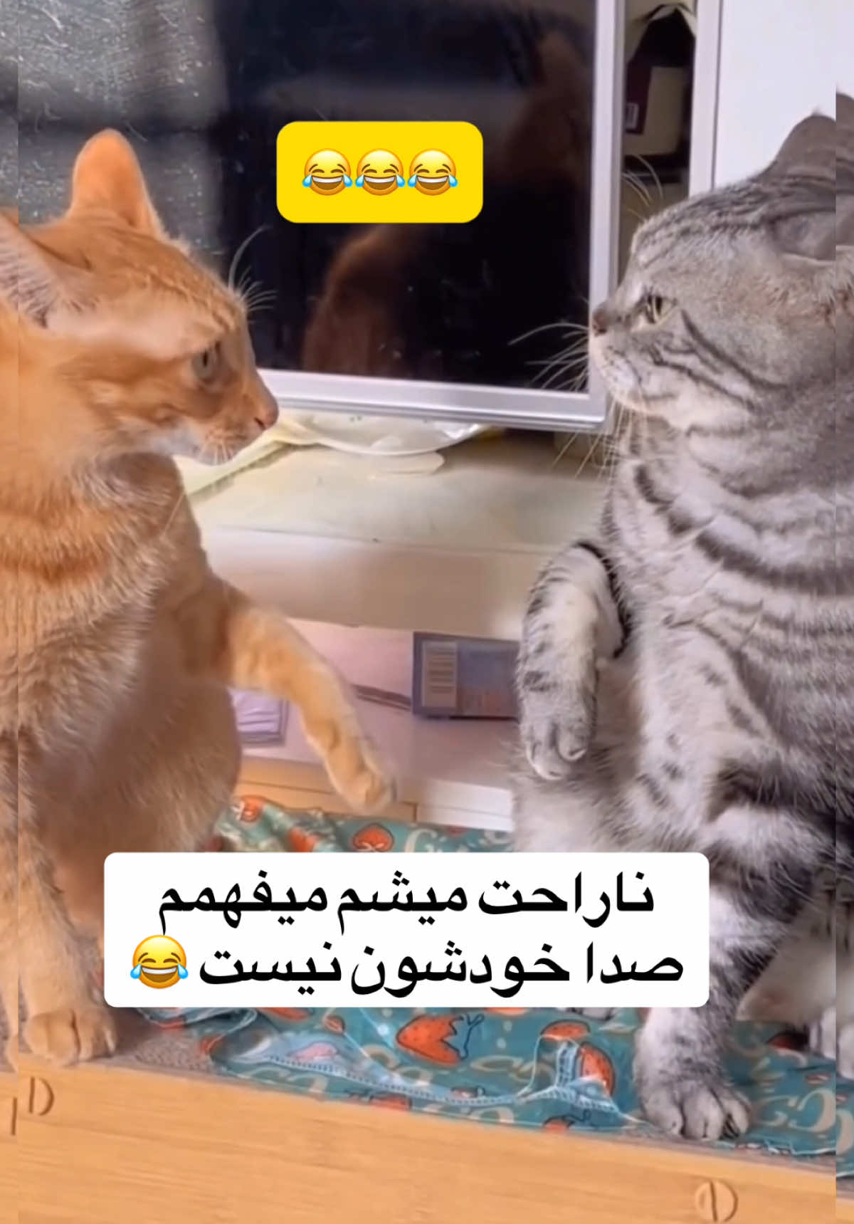 دوبله حرفه ای 😂😂😂 #fyp #viraltiktok #tiktokviral #طنز #funny #دوبله #دوبله_فارسی 