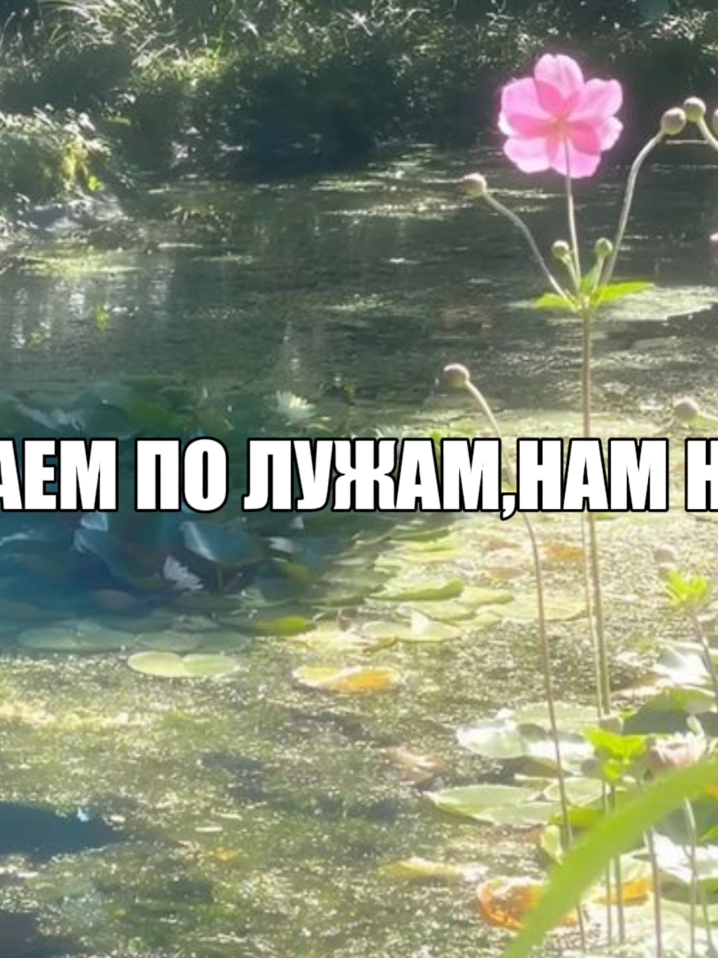 трек: Кустурица🎧| тгк:#music4u49 | #весна #вайбовыепесни #лето #кустурица #сегодняидтипослефильмакустурицы #липсинг #длялипсингов #музыкавмашину #музыкадлядуши🎶🎧 #рекомендации #рек #летняяатмосфера #fyp #recommendations #rec 