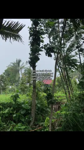 Lopyu tiktok🥰🫶🏻