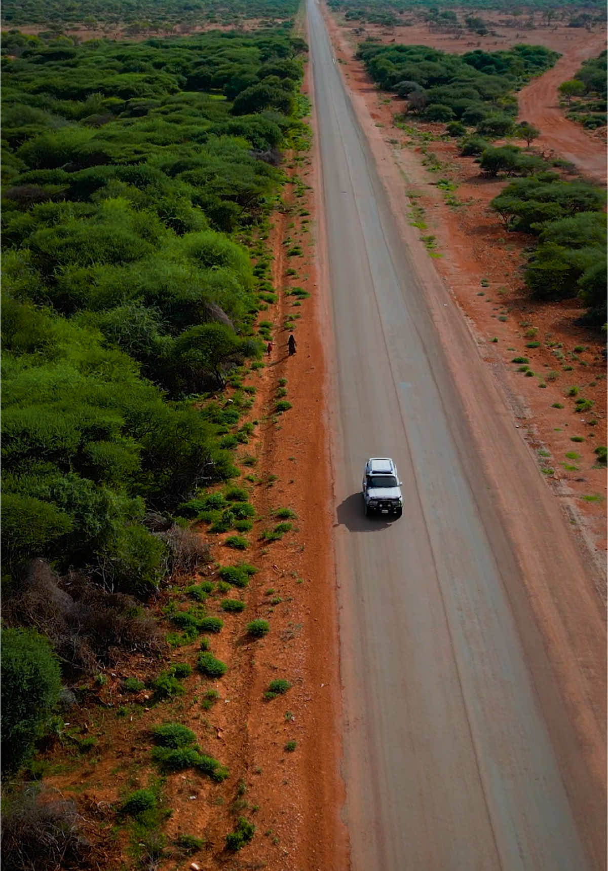 Weli maku safartay jidkaan? #burtinle #nugaal #puntland #marwansomali #somalitiktok #foryoupage  