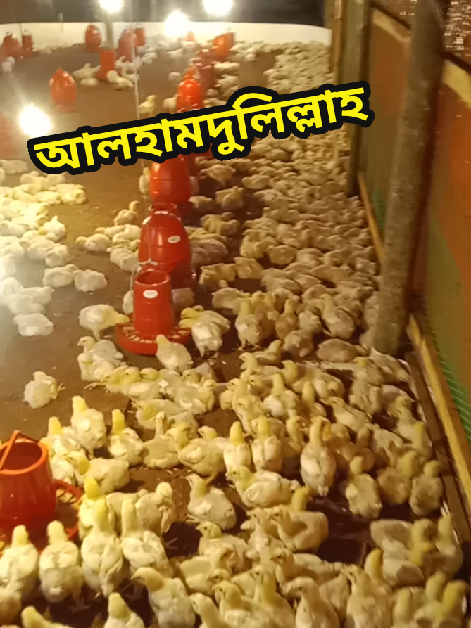 আলহামদুলিল্লাহ 
