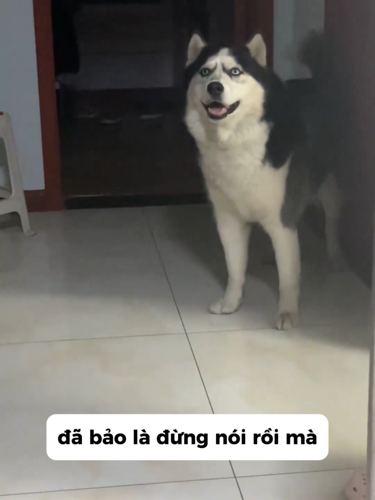 đã bảo là đừng nói rồi mà