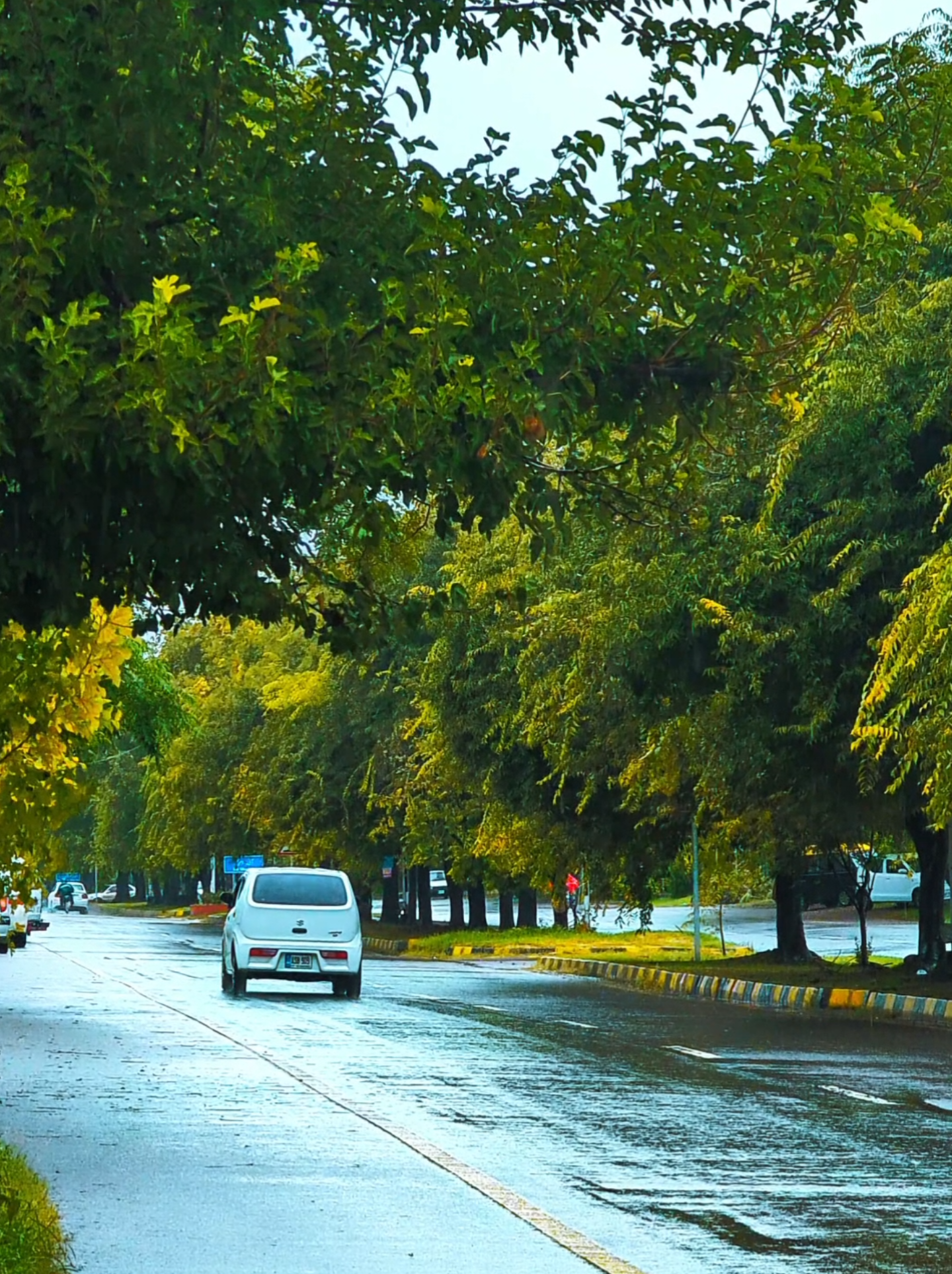 beautiful Rainy Weather Of Islamabad Capital Pakistan ❤️‍🩹✨🥀✨  . . . . . . #trending #Islamabad #islamabadbeautyy0 #ghoomopakistan #viralvideo #foryou #fyp 