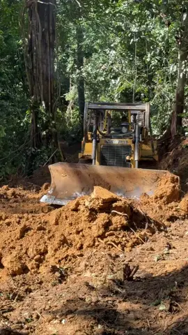 Proses buka lahan baru,, penanaman    sawit mengunakan alat berat #bukalahansawit #petanisawitindonesia🇮🇩 #petanisawit #kayuulinkalimantan 