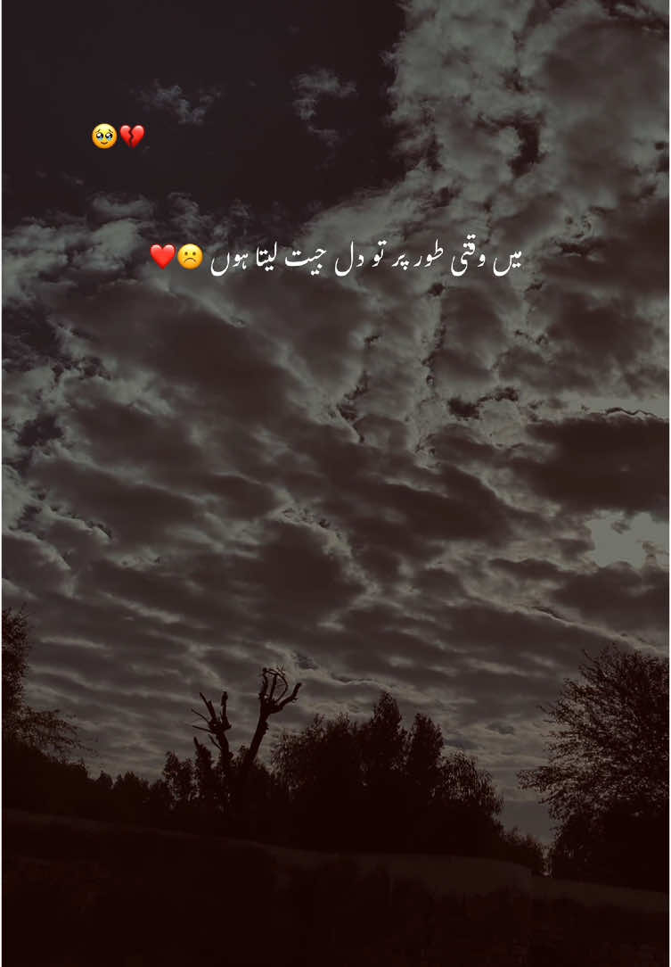 مگر مجھے دل میں رہنے کا ہُنر نہیں اتا 🥹❤️‍🩹#aesthetic #poetry #poetrystatus #grow #account #foryou #foryoupage #1million #rehann_vibe 