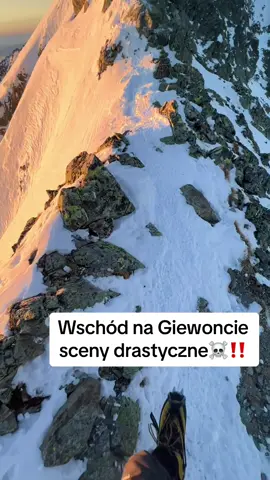 Tragedia wariacie. Po same uszy  #rysy #giewont #zakopane #tatry #tatrymountains #oscypek #bukowinatatrzańska #termychocholowskie #krakowpoland #beskidymountains #mogielica #pilsko1557npm #morskieoko #rusinowapolana #gesiaszyja #nosal #lodowyszczyt #dc #dlaciebie #fyp #fypツ 