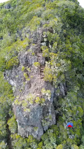 🌿 Randonnée sur le sentier Jacky Inard 🌿 🎥 Lieu : Entre-Deux, La Réunion 🏞️ Spot : Sentier Jacky Inard, Grande Échelle, Dimitile 🚶‍♂️ Difficulté : Moyenne - 2h à 3h de marche 🌄 Vue : Panorama à couper le souffle sur les cirques de La Réunion 👟 À faire : Préparez-vous à un voyage au cœur de la nature avec des paysages spectaculaires, de la végétation luxuriante et des panoramas incroyables. Idéal pour les amoureux de la montagne et de l'aventure. Ne manquez pas la magnifique vue sur le Piton des Neiges et les falaises imposantes du Dimitile  #fyp #reunion #voyage #landscape 