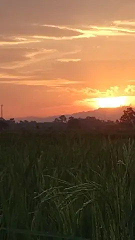 #bajingan#