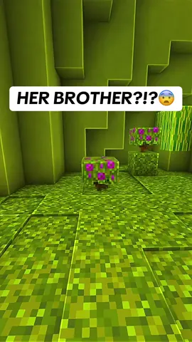 Her Brother  #seconddateupdate #brookeandjubal #seconddates #seconddate #prankcall #phonecall #coupleco #funnyy #jubalfresho