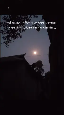 আমার ভাঙা ঘরে ভাঙা চালা ভাঙা বেরার ফাকে,, অবাক জোছনা ঢুইকা পরে হাত বারাইয়া ডাকে,,,#bdtiktokofficial #viralvideo 