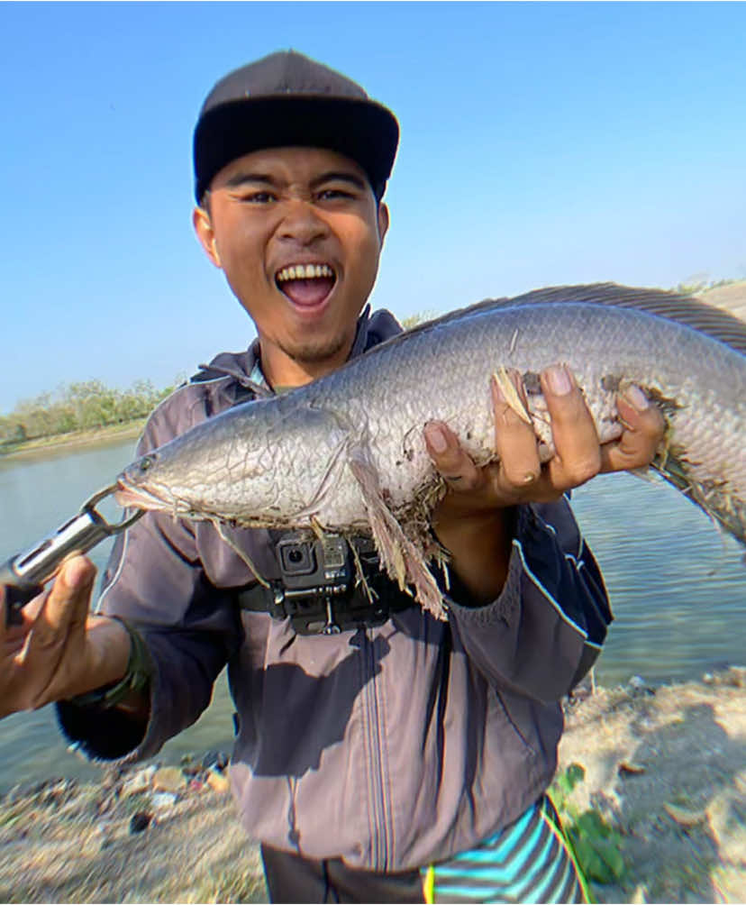 Kita spill ikannya 😬 #fyp #castingfishing🎣 #mancingmania #bojonegoro #channaindonesia #mancing #castinggabus #mancingliar #gorgon #snakeheadfish 