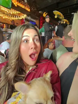 Paw-some Super Bowl Night Out! Join us for an epic bar hop with my adorable French bulldogs! 🐾 Watch the Super Bowl with us at our favorite spot filled with great vibes! Don’t forget to like and share! #FrenchBulldog #BarHopping #SuperBowlVibes #PetFriendly #DogLovers #GoodTimes #fluffyfrenchie#fluffyfrenchbulldog#fluffyfrenchies#fluffyfrenchbulldogs#fluffyfrenchbulldogbreeder#isabellafrenchbulldog @Sarah 