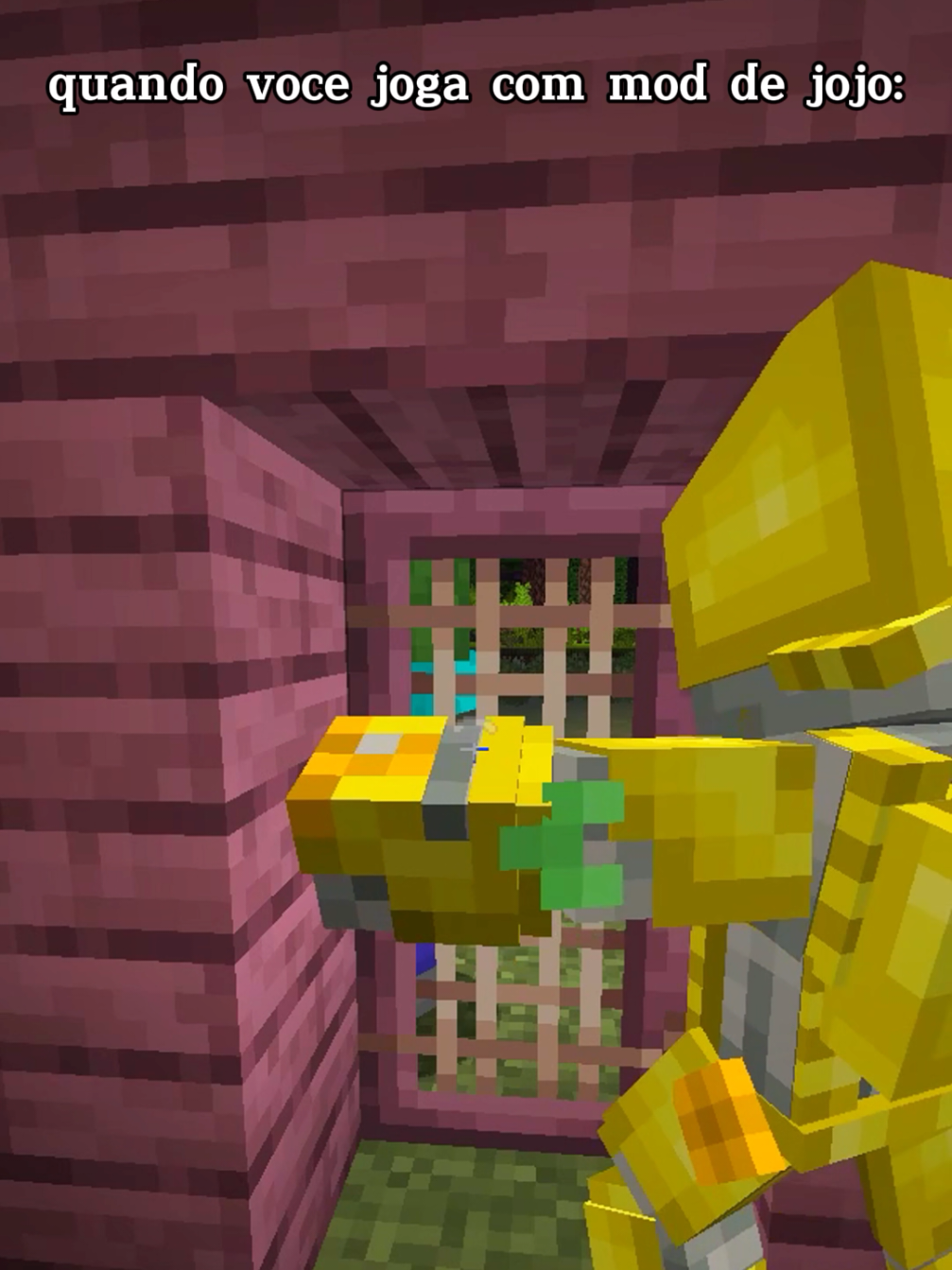 ZAWARUDOOOO!!! #minecraftmemes #Minecraft #minecraftbrasil #fyp #mine #jojo 