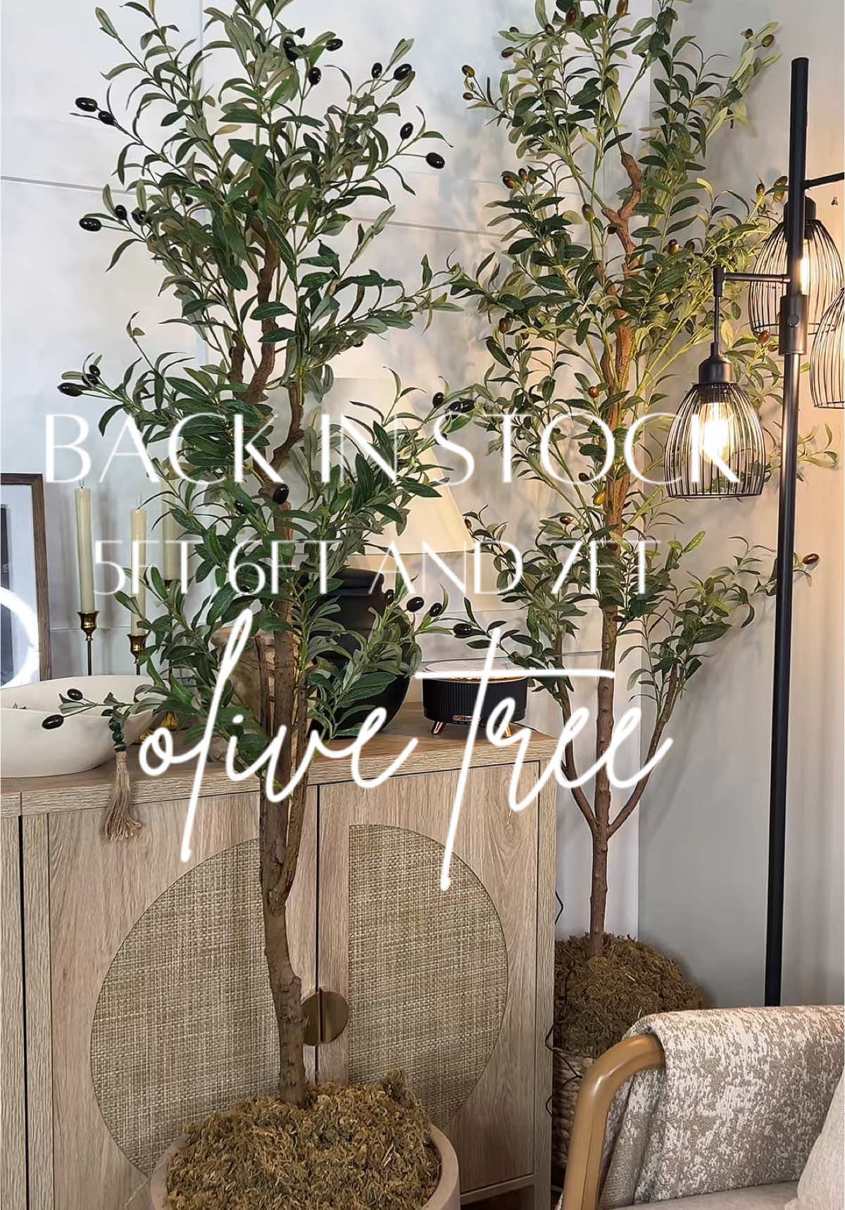 My FAVORITE must have Olive Tree is back in all sizes! There’s also a 2 pack option! Linked below by the cart! #olivetree #olivertree #olive #olives #tree #artificialtree #plant #plants #artificialplants #homedecor #neutralhome #homeaccents #organichome #moodyaesthetic #moody #interiordesign #homesweethome #homedecorideas #moss #treemoss #tts #ttshop #TikTokShop #tiktokshopping #tiktokshopmademebuyit #musthave #holidays #green #greentree #spring #springrefresh #musthave 