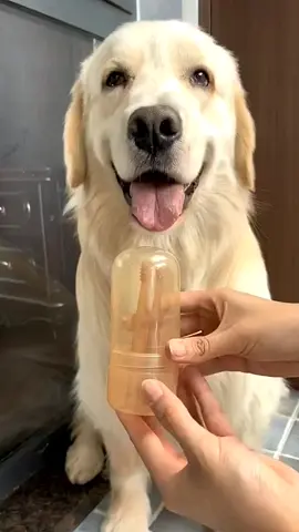 Dog silicone toothbrush 🪥#LiveOutlandish #dogcare #toothbrush #tiktokshop #fyp 