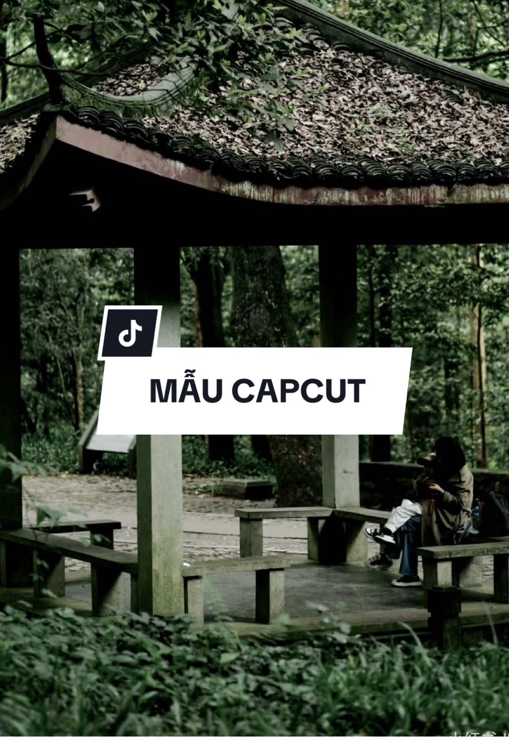 #CapCut Dành nhiều thời gian cho công ty để làm gì...#maucapcut #xuhuong #nhachaymoingay #viral 