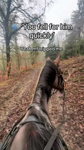 Fell, hit my head, became delusional  #trending #fyp #equestrianlife #equine #horse 